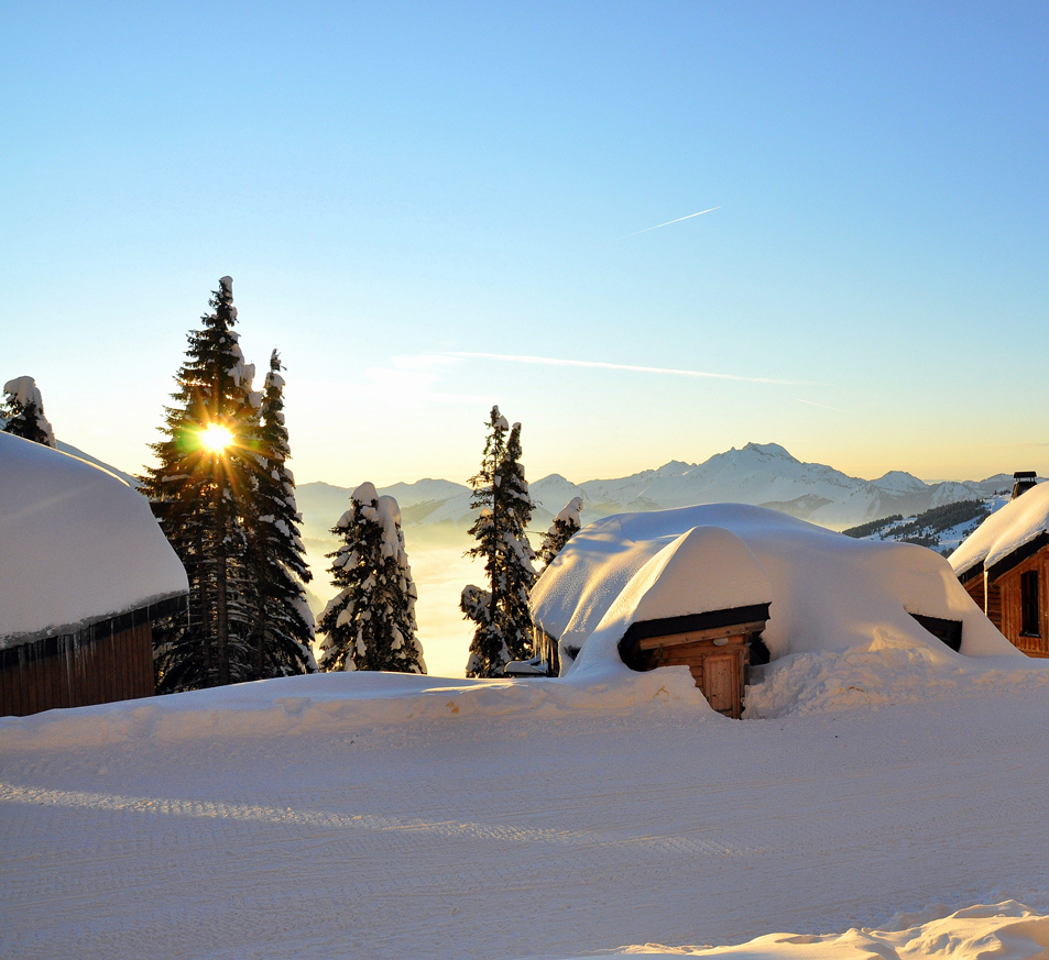 Immobilier Avoriaz