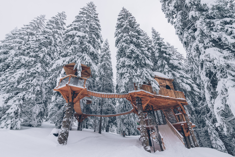 THE LIL�STASH / THE STASH, SNOWPARK �COLOGIQUE�